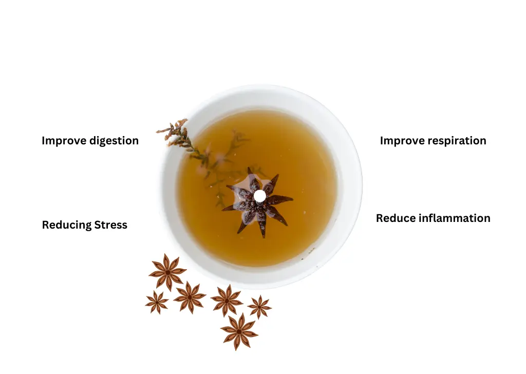 Anise is a very important ingredient because nowadays, people use it a lot to calm digestive problems,  Stress and sleep circulation. Maybe as an antibacterial and much more.
