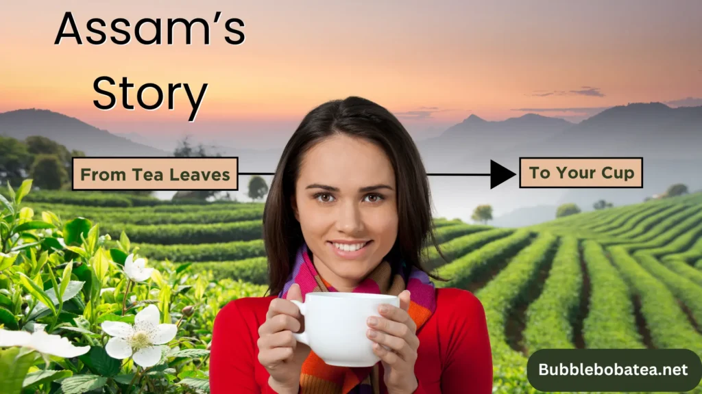 Assam Tea: Origins, Benefits, Varieties, and Brewing Tips