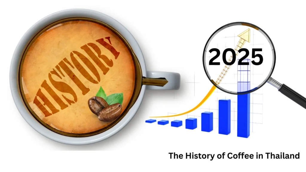 The History of Coffee in Thailand